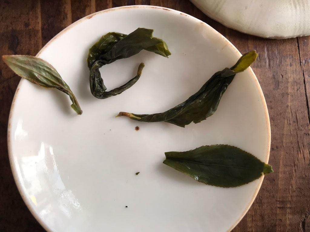 bao zhong 2019